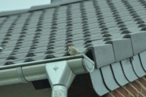 Barrow Valley Roofing 6